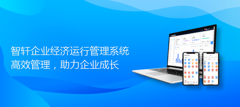 企业经济运行管理系统